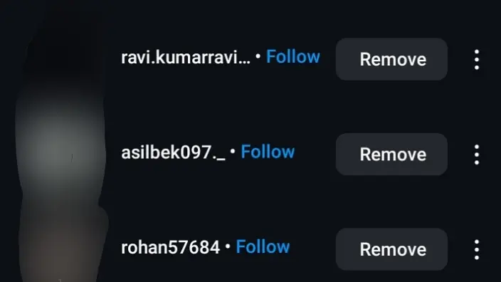 How to Spot and Remove Fake Followers from Instagram in 2026 | Is it possible? 3 WhatsApp Image 2024 10 30 at 12.38.07 AM