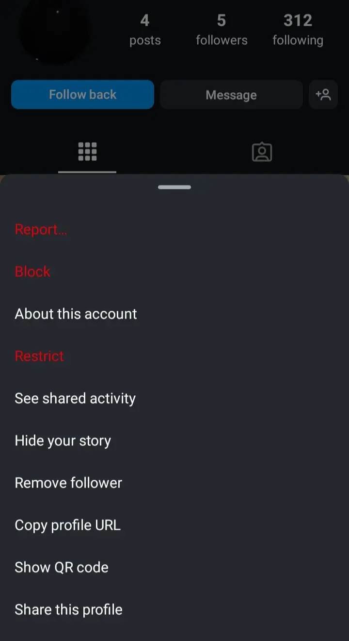 How to Spot and Remove Fake Followers from Instagram in 2026 | Is it possible? 5 WhatsApp Image 2024 10 30 at 12.38.08 AM